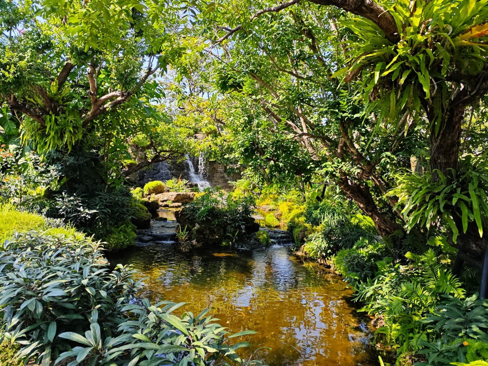 Loch Camp à Khao Tao, restaurant avec aire de jeux