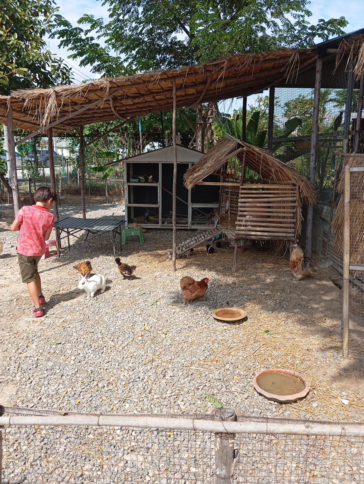 Mini-ferme et jardin de Parrotdise Farm